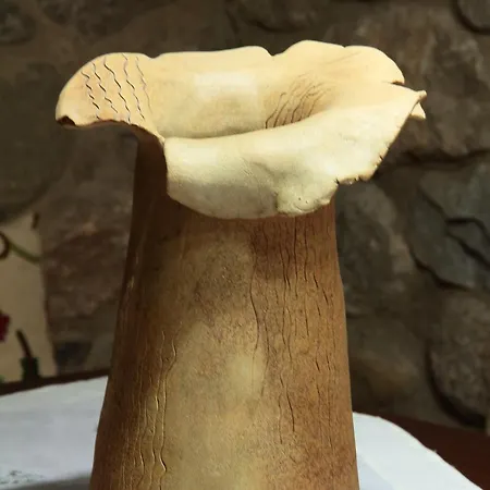 El Pedris * 엘 폰트 데 수에르트